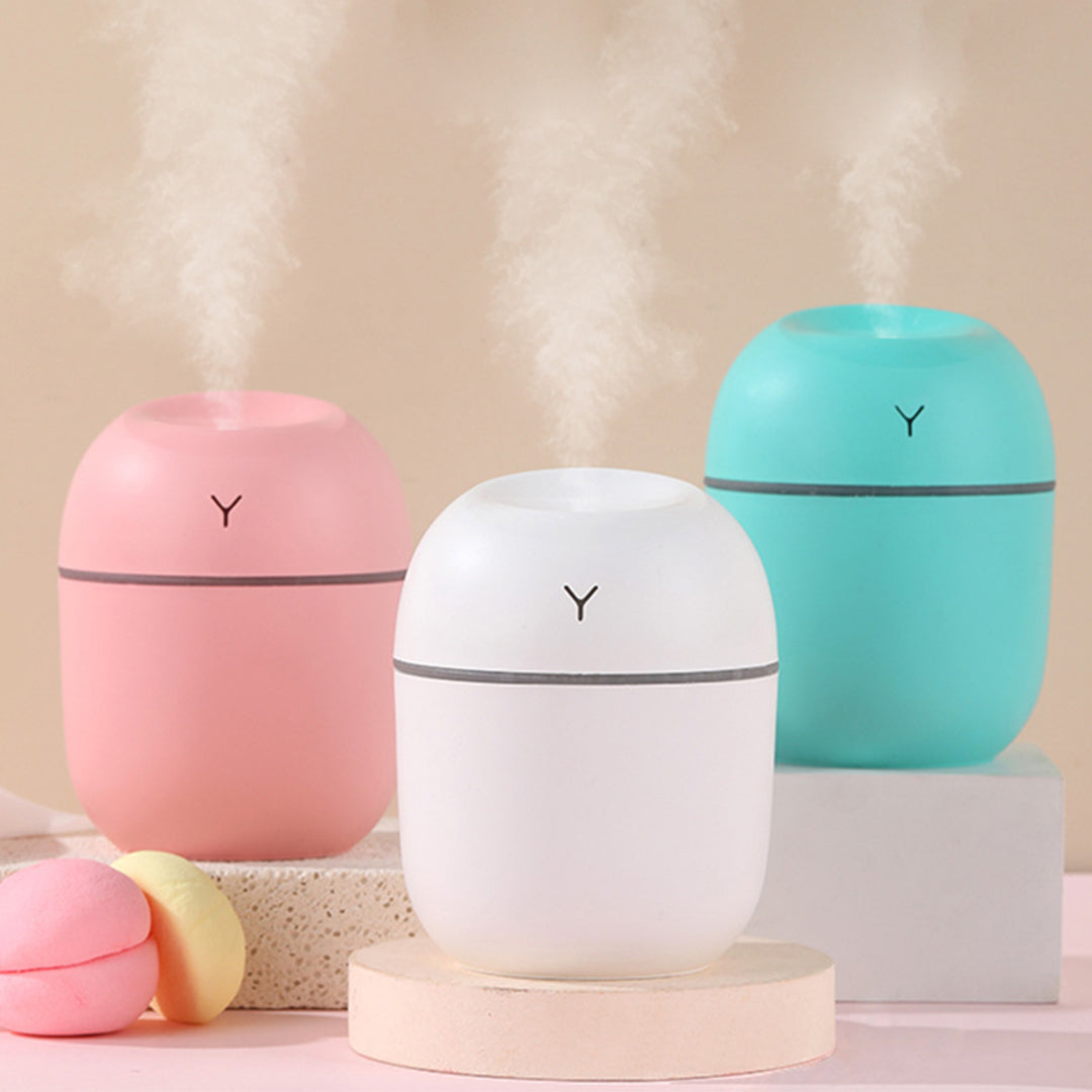 Humidificador portable 220 ml