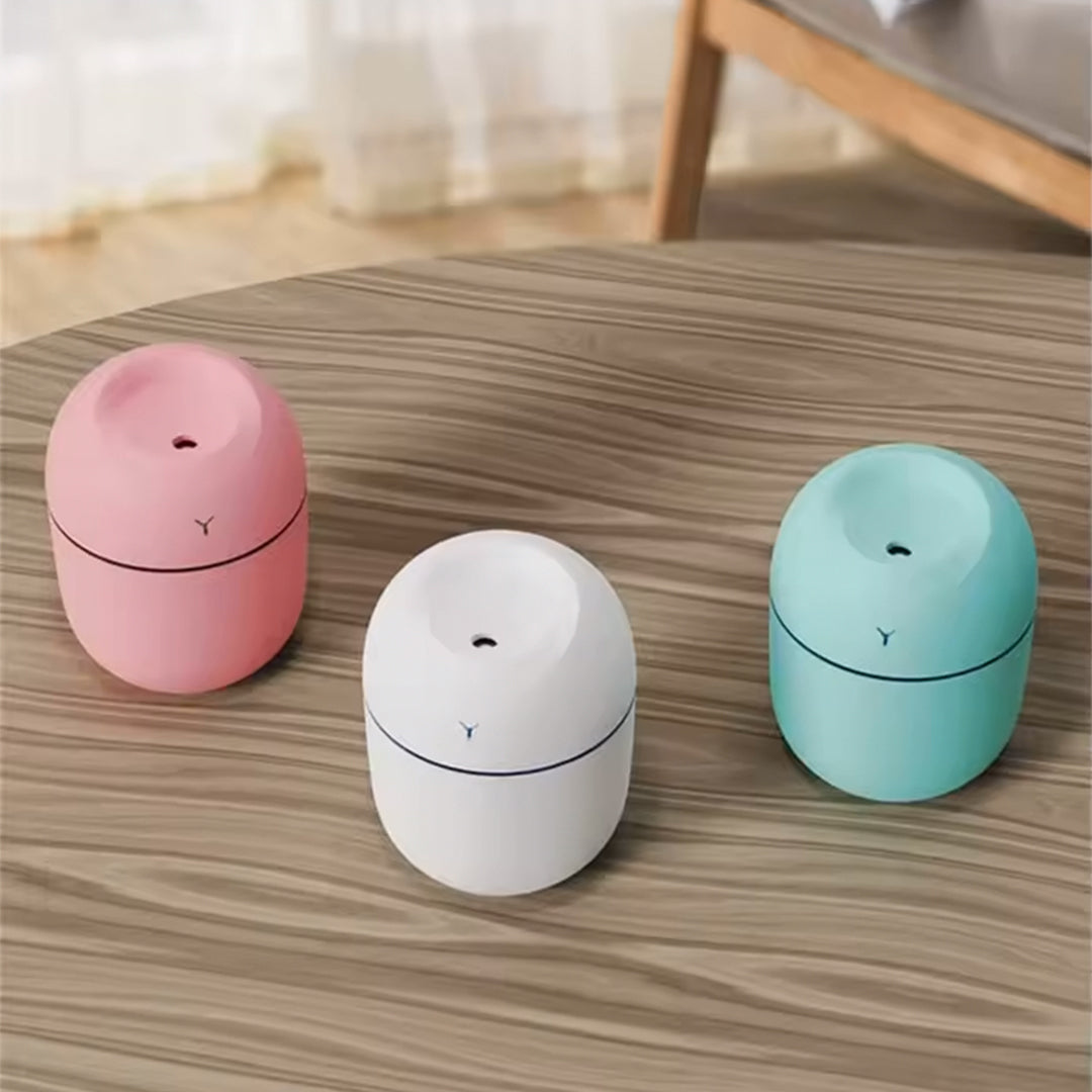 Humidificador portable 220 ml